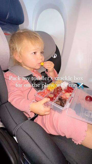 Plane Snacks For Toddlers, Snackle Box Ideas For Kids Airplane, Travel Snacks For Toddlers, Snacks For Traveling Airplane, Toddler Plane Snacks, Snackle Box Ideas Toddler, Toddler Airplane Snacks, Snacks To Take On A Plane, Snacks To Bring On A Plane