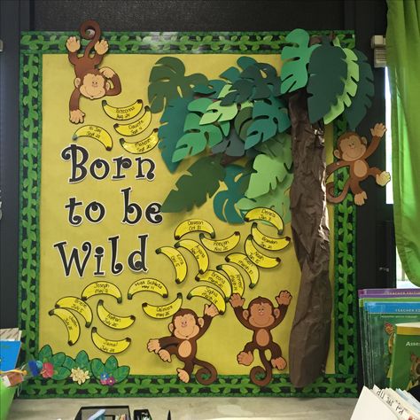 Jungle Theme Notice Board, Jungle Theme Kindergarten Classroom, Safari Board Ideas Classroom Themes, Jungle Theme Birthday Wall For Classroom, Jungle Theme Infant Classroom, Jungle Bulletin Board Ideas Classroom Decor, Jungle Display Classroom, Jungle Room Theme Classroom, Safari Daycare Room