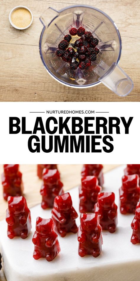 How to Make Blackberry Gummy Bears - Nurtured Homes Gummy Bears Recipe, Watermelon Gummies, Healthy Gummies, Blackberry Dessert, Homemade Gummies, Kombucha Recipe, Gummies Recipe, Herbal Medicine Recipes, Bear Recipes