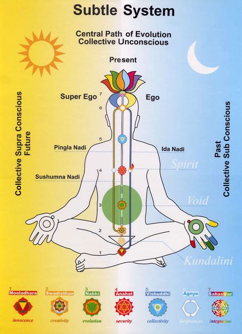 The Seven Chakras & 72 Lakh Nadis | AumShiva Nervus Vagus, Sahaja Yoga Meditation, Manipura Chakra, Sahaja Yoga, Yoga Kundalini, Kundalini Awakening, Channeling Energy, Chakra System, Meditation Mantras