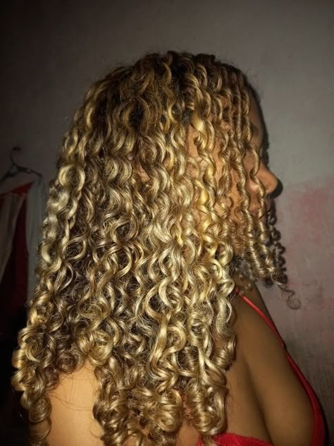 Black To Blonde Curly Hair, Blonde Highlights On Short Curly Hair, Curly Hair With Highlights Blonde, Bleach Curly Hair, Highlight Curly Hair, Hair Blonde Curly, Blonde Highlighted Hair, Summer Hair Ideas, Hair Long Curly