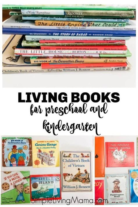 Best Books For Homeschool Library, Homeschool Library, Charlotte Mason Preschool, Living Books List, Nature Homeschool, Books For Kindergarten, Books For Preschool, Preschool Homeschooling, Books For Preschoolers