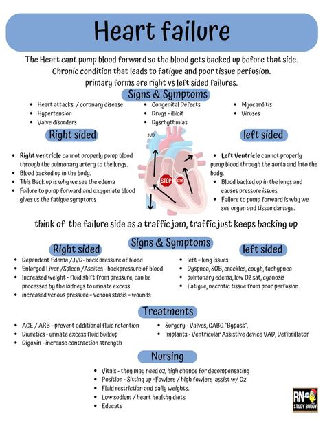 Nursing School Notes Medsurg Cardiac Heart Failure Left Vs - Etsy Pathophysiology Nursing, Human Body Vocabulary, Nursing School Studying Cheat Sheets, King Abdulaziz, Cardiology Nursing, Medical Assistant Student, خريطة ذهنية, Nursing School Essential, Nursing School Motivation