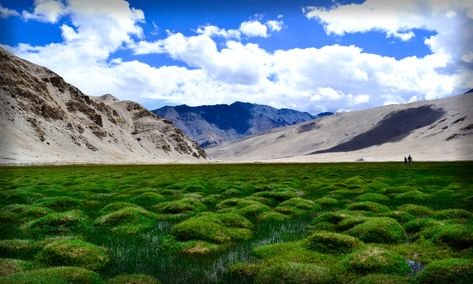 Puga Valley, Western Ghats, Best Poses For Pictures, Green Landscape, Tourist Spots, Incredible Places, India Travel, Unesco World Heritage Site, Unesco World Heritage