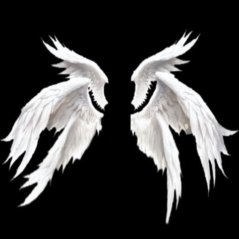 Angel Wing Refrences, Huge Wings Drawing, 6 Wings Angel, Wing Aesthetic Angel, Angel Wing Drawing Reference, Four Winged Angel, Black Wings Drawing, Wings Covering Eyes, Angel Wings Reference