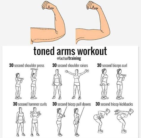 Toned Arms Workout, Arm Toning, Tone Arms, Fitness Studio Training, Tone Arms Workout, Latihan Dada, Tricep Kickback, Arm Workout Women, Gym Antrenmanları