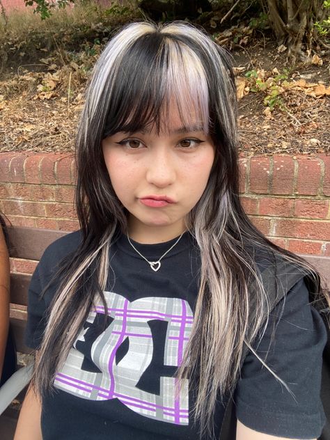 Black And Silver Skunk Hair, White Hair Stripe, Black Hair With White Stripes, Long Skunk Hair, Skunk Stripe Hair With Bangs, Silver Streak In Dark Hair, White Skunk Stripe Hair, Y2k Skunk Hair, Silver Streaks In Dark Hair