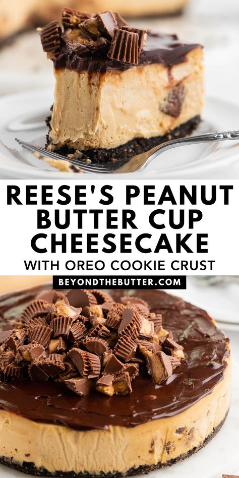 Reese Cup Cheesecake, Reese Peanut Butter Cheesecake, Reese’s Cheesecake, Reese's Peanut Butter Cheesecake, Cheesecakes Recipes, Peanut Butter Cheesecake Recipes, Cup Cheesecake, Oreo Crust Cheesecake, Peanut Butter Cup Cheesecake