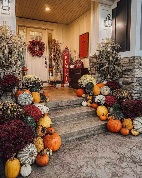 52 Fall Porch Decor Ideas for Any Size and Budget Pumpkin Porch Decorations, Fall Houses Exterior, Front Porch Decorating Ideas, Mums In Pumpkins, Fall Front Porch Decor Ideas, Fall Container Gardens, American Farmhouse Style, Porch Pumpkins, Porch Decorating Ideas