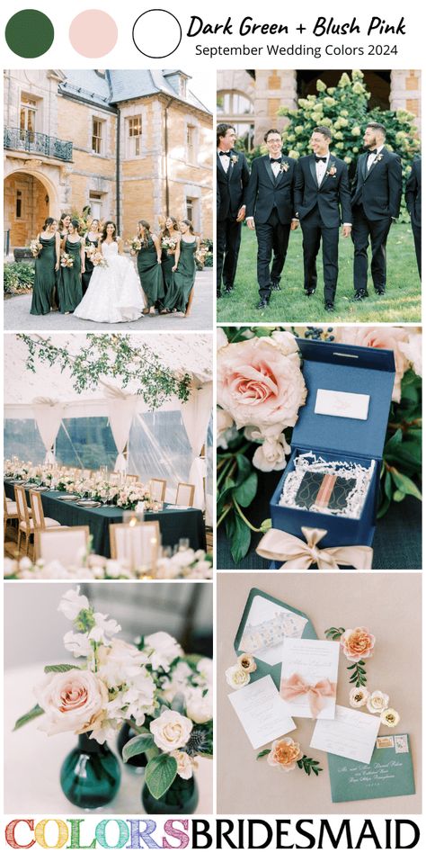 Blush And Green Wedding Colors, Emerald Green And Soft Pink Wedding, Emerald And Pale Pink Wedding, Green White Wedding Color Palette, Green Blush Wedding, Emerald Blush Wedding, Forest Green And Pink Wedding Theme, Hunter Green And Blush Wedding, Emerald Green Pink Wedding