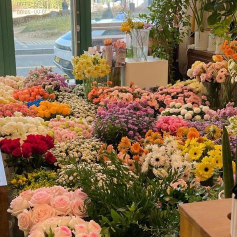 Flower Shop Aesthetic, Icon Homescreen, Boquette Flowers, Shop Aesthetic, Flower Farmer, Nothing But Flowers, Plant Aesthetic, Flower Therapy, Flower Names