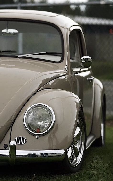 Nice original looking Beetle Hot Vw, Sandakan, Vw Sedan, Vw Classic, Combi Volkswagen, Classic Volkswagen, Volkswagen Bug, Vw Aircooled, Vw Beetle Classic