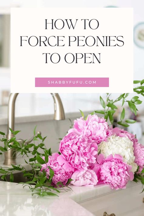 Peonies Arrangement Vase, Peony Arrangement Ideas, Peony Floral Arrangements, Closed Peonies, Peony Diy, Peony Flower Arrangements, Peonies Centerpiece, Peonies And Roses, Peony Arrangement