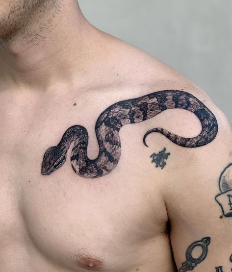 Sam Mancino on Instagram: “Cottonmouth ♠️♠️♠️ thank you Tyler - - -#cottonmouth #cottonmouthtattoo #floridatattoo” Cotton Mouth Snake, Mouth Tattoo, Florida Tattoos, Cotton Mouth, Snake Tattoo, Word Out, Infinity Tattoo, Paw Print Tattoo, Tatting