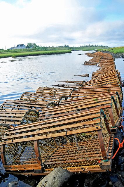 Log Bench, Farming Ideas, Crab Trap, Lobster Fishing, Lobster Shack, Lobster Trap, Fresh Lobster, Seaside Theme, Crab Fishing