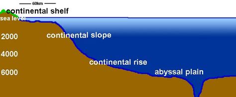 Ocean Trench, Continental Shelf, Floor Types, Ocean Floor, Deep Ocean, Play Dough, Science Activities, Dough, Science