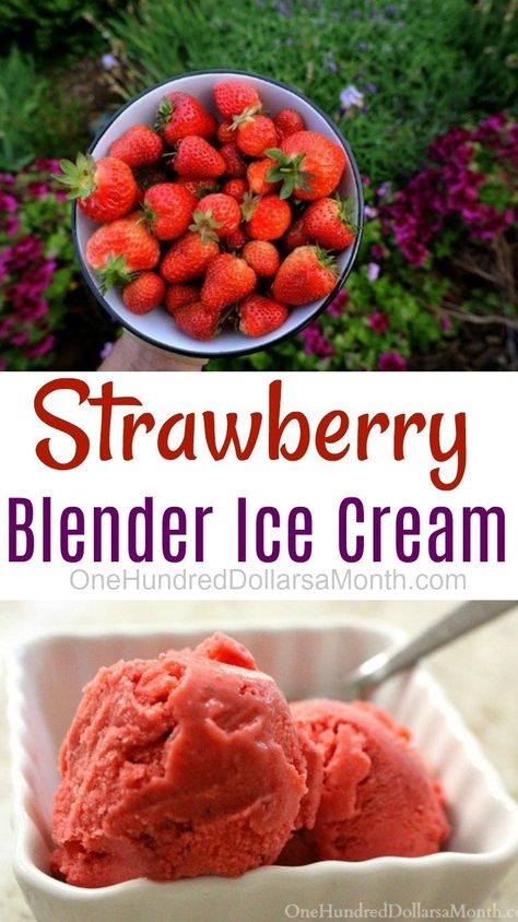 Instant Ice Cream, I Want Ice Cream, Ninja Blender Recipes, Blender Ice Cream, Instant Ice, Ninja Blender, Ninja Recipes, Vitamix Recipes, Keto Ice Cream