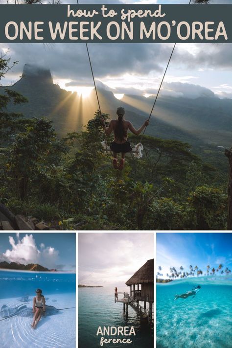 Get a complete guide to spending one week on Mo'orea in French Polynesia including the best things to do in Moorea, the best places to stay in Moorea, the best hikes in Moorea, and how to swim with humpback whales in Moorea. | swimming with humpback whales french polynesia | swim with whales moorea | moorea french polynesia things to do in | moorea tahiti things to do | moorea french polynesia hiking | hiking in moorea Andrea Ference, Birthday In February, Moorea Tahiti, Moorea French Polynesia, French Polynesian Islands, Tahiti Travel, Air Tahiti, Marquesas Islands, My 30th Birthday