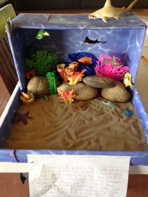 Ocean Diorama Project, Coral Reef Biome, Coral Reef Craft, Habitat Project, Ocean Diorama, Biomes Project, Diorama Project, Diorama Kids, Aquarium Craft