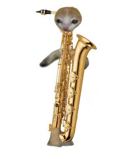 Buhubuh Interesting Cats, Bari Sax, Cat Band, Instruments Art, Food Cat, Fancy Cats, Cat Meme, Musical Art, Cat Icon