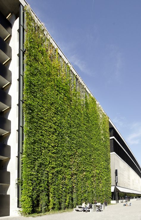 Landscape Architecture Design Garden, Green Facade, Green Roofs, Cladding Systems, Green Walls, Landscape Architecture Design, Green Architecture, Wall Garden, Wall Systems