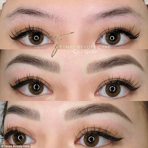 Eyebrows Asian, Asian Eyebrows, Mircoblading Eyebrows, Eyebrow Before And After, Eyebrows Goals, Brows Microblading, Permanente Make-up, Semi Permanent Eyebrows, Bentuk Alis