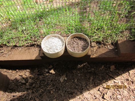 Grit Feeder For Chickens, Grit For Chickens, Chicken Grit Dispenser, Chicken Grit, Coop And Run, Coop Ideas, Chicken Treats, Raising Backyard Chickens, Chicken Feeder