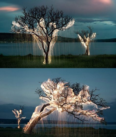 Light Art Installation, Forest Light, Tree Canopy, Beautiful Places Nature, Light Architecture, Light Installation, Outdoor Art, Land Art, Landscape Lighting