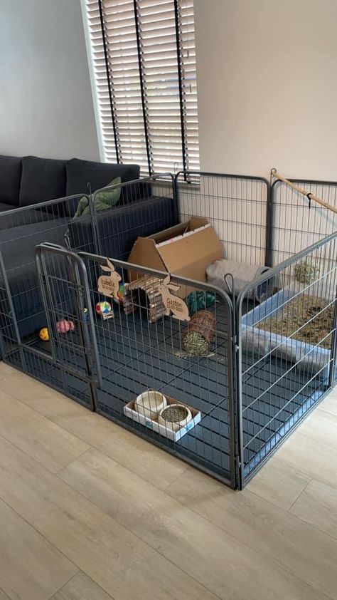 Small Bunny Room Ideas, Rabbit Enclosure In Bedroom, Bunny Enclosure Indoor Rabbit Pen, Bunny Area Ideas, Cute Rabbit Cage Ideas, Rabbit Area Indoor, Bunny Indoor Set Up, Rabbit Pen Ideas, Rabbit Set Up