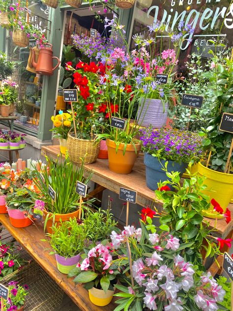 Florist shop in the Netherlands Shop Owner Aesthetic, Florist Shop Aesthetic, Future Job, Shop Aesthetic, Florist Shop, Spring Aesthetic, Shop Owner, Flower Shop, Open Up