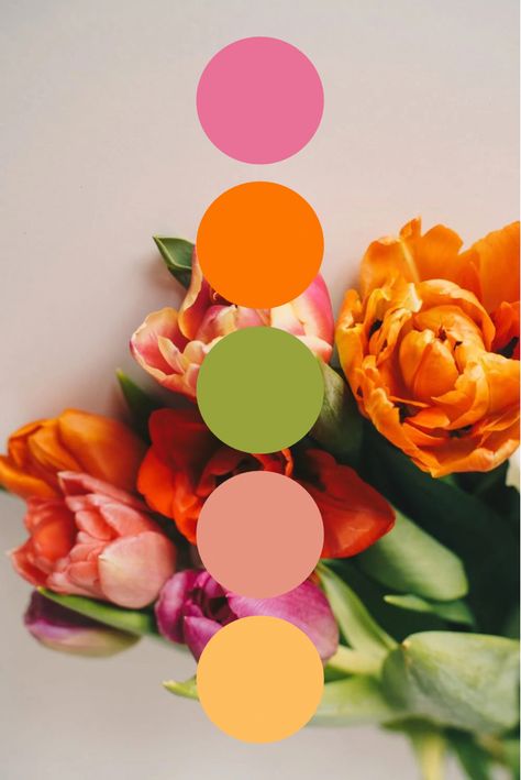 Spring Color Palette Ideas Color Palette Ideas, Spring Color Palette, Palette Design, Color Schemes Colour Palettes, Palette Ideas, Spring Wedding Colors, Summer Color Palette, Wedding Palette, Color Palate