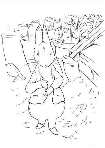 Rabbit Coloring, Beatrix Potter Illustrations, Coloring Animals, Farm Coloring Pages, Beatrice Potter, Peter Rabbit And Friends, Rabbit Colors, Coloring Pages For Boys, Travel Sketches