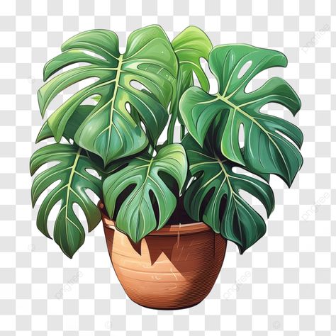 a monstera plant monstera plant monstera plant leaf plant png Monstera Plant Leaf, Plant Png, Textures Art, Leaf Plant, Monstera Plant, Transparent Image, Png Transparent, Texture Art, Free Png