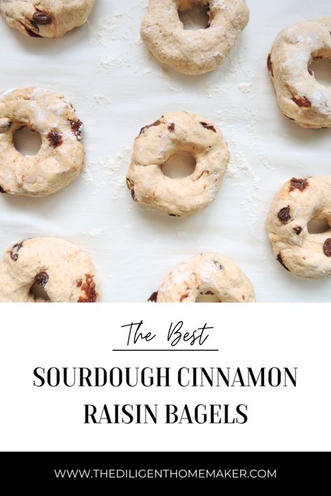 Cinnamon Raisin Sourdough Bagels, Sourdough Cinnamon Raisin Bagels, Sourdough Cinnamon Raisin, Sourdough Desserts, Cinnamon Raisin Bagels, Raisin Bagels, Recipe Using Sourdough Starter, Cinnamon Raisin Bagel, Sourdough Bagels