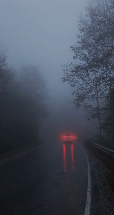 Twilight Rain Aesthetic, Rain And Fog Aesthetic, Twilight Forest Wallpaper, Twilight Vampire Aesthetic, Fog Aesthetic Dark, Foggy Day Aesthetic, Tvd Aesthetic Wallpaper, Aesthetic Rain Wallpaper, Rain Astethic