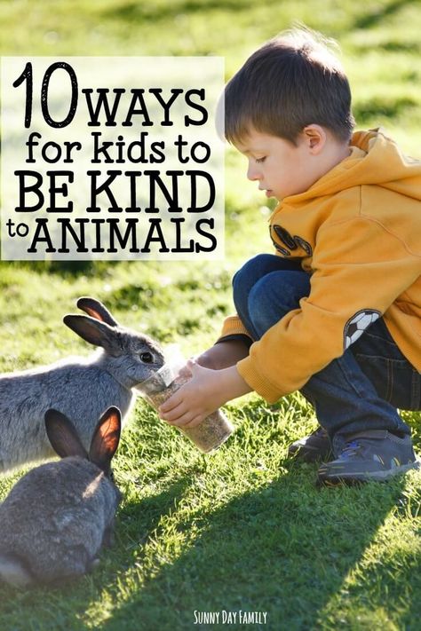 Celebrate Be Kind to Animals Week with these 10 kindness activities for kids! Help kids learn about kindness to animals with pet activities and kindness to animals in their world. So many ideas to practice caring and empathy to animals! Animal Kindness, Pet Care Printables, Empathy Activities, Pet Study, Pets For Kids, Kindness To Animals, Kids Preschool Learning, Animal Lessons, Animal Activities For Kids