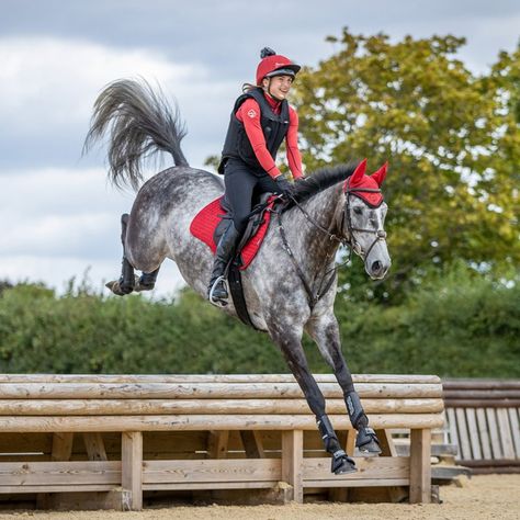 🌶️ The Chilli Red Collection Is Back... 🌶️ Stand out from the crowd with the chilli red collection from LeMieux! These luxury saddlepads all have the added bonus of a super soft Bamboo suede lining that wicks away moisture and keeps your horse comfortable. Matching garments also available... 🤩 Lemieux Matchy Sets, Red Horse Tack, Classic Chilli, Horse Show Jumping, Standing Horse, Horse Standing, Horsey Life, Gray Horse, Show Jumping Horses