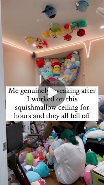 6.7M views · 676K likes | Damali Gutierrez on Instagram: "Part 3 of me decorating my squishmallows room coming soon, but we had a little set back😭 the ceiling squishmallows fell off! I used fabric tape this time and IT DOES NOT WORK! This is a PSA to stick to what works I usually use thumbtacks and I tried something different and it almost ruined my squishmallows! More room videos coming soon🤭❤️  Everything I use to decorate my room is linked in my Amazon store front in my bio 🫶🏻🤩  Like and follow for more Squishmallow content as well as my personal collection!📸💖  Tag me in your Squishmallow finds!🙌 • • • • • • • • • #squishmallows #squish #squishmallowsquad #squishmallowhunting #fyp #explore #explorepage #foryou #squishtok #squishmallowcommunity #squishhunting #squishhunt #reels # How To Display Squishmallows, Ways To Organize Squishmallows, Hanging Squishmallows, Display Squishmallows, Store Squishmallows, Amazon Store, Store Front, Room Planning, Fabric Tape