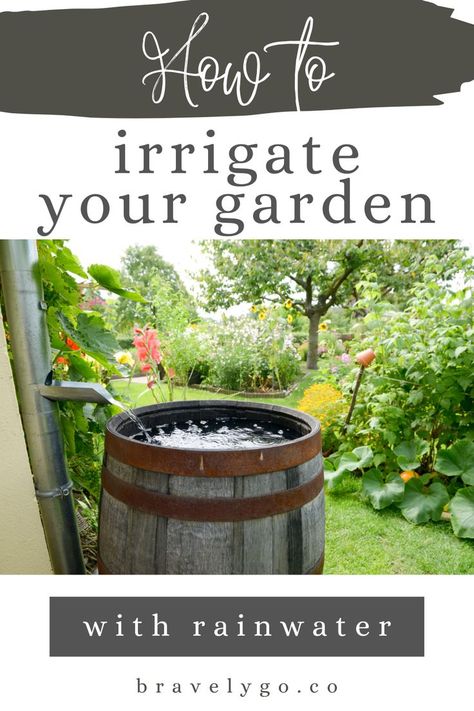 How to irrigate your garden with rainwater
Gardening, garden care, garden design, garden types, gardening supplies, planting Rain Collection System, Collecting Rainwater, Rain Barrel System, Water Collection System, Rainwater Harvesting System, Water Irrigation, Garden Whimsy, Rainwater Harvesting, Water Collection