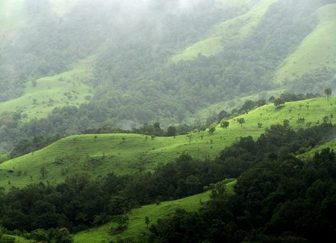 Trekking in South India, 2017: 'Going for a Trek in Karnataka? Get an Awesome Green Passport to Make It Safer & More Fun.'   With few youngsters losing their lives while hiking on illegal routes, the initiative by the state’s forest department will attempt to end illegal trekking. @thebetetrindia via @topupyourtrip Kodaikanal, Geothermal Energy, Western Ghats, Ooty, India Tour, Hill Station, South India, Quito, Hill Country