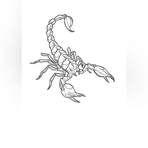 Money Wallpaper Iphone, Scorpio Tattoo, Scorpion Tattoo, Tattoo Sketch, Line Art Tattoos, Top Tattoos, Name Tattoos, Animal Sketches, Tattoo Sketches