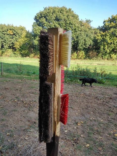 Barn Hacks Shelter For Cows, Horse Area Ideas, Goat Stalls In Barn, Donkey Shelter, Small Barn Ideas, Simple Horse Barns, Goat Playground, Horse Tack Rooms, Horse Paddock