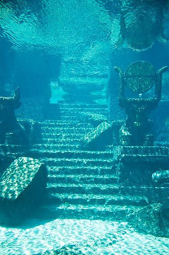 The Lost City of Atlantis | I found it in Nassau. Go figure!… | Flickr Underwater Cities Ruins, Underwater City Ruins, Underwater Palace Aesthetic, Ocean Kingdom Aesthetic, Underwater Kingdom Aesthetic, Water Kingdom Aesthetic, Underwater Grotto, Underwater Building, Mera Aesthetic