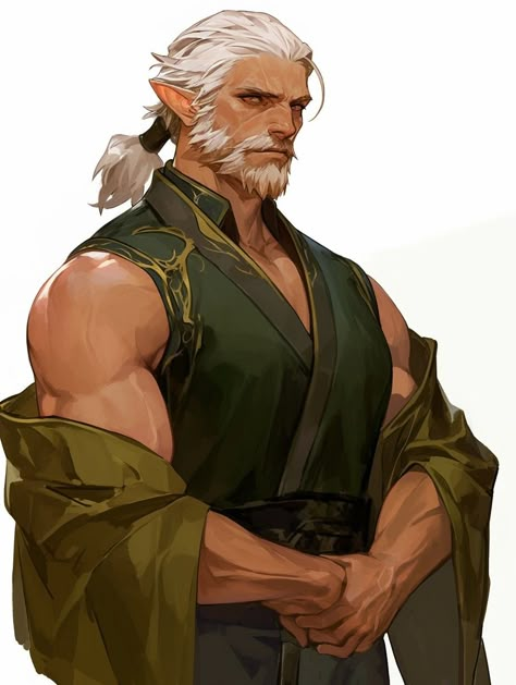 Half Elf Scholar, High Elf Character Design, Old Firbolg, Older Man Character Design, Male Elf Character Design, Bearded Elf, Guard Captain, Elf Character Art, Old Elf