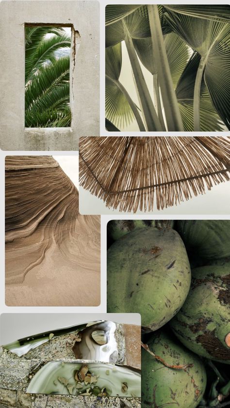 tropical lush #moodboard Tropical Mood Board, Angela Clayton, Spa Interior Design, Instagram Branding Design, Tropical Interior, Long Island New York, Branding Mood Board, Brand Color Palette, Costume Designer