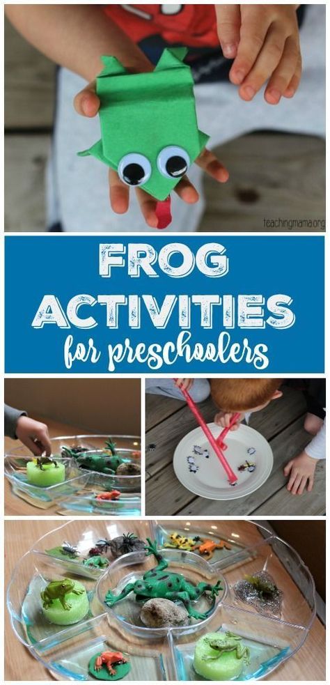 Frog Activities for Preschoolers - lots of great hands-on learning ideas all about frogs! #amphibians #amphibians #amphibian #craft Reptiles Preschool, Reptiles Activities, Amphibians Activities, Frogs Preschool, Passover Activities, Frog Activities, Teaching Mama, Science Experiments For Preschoolers, Frog Theme