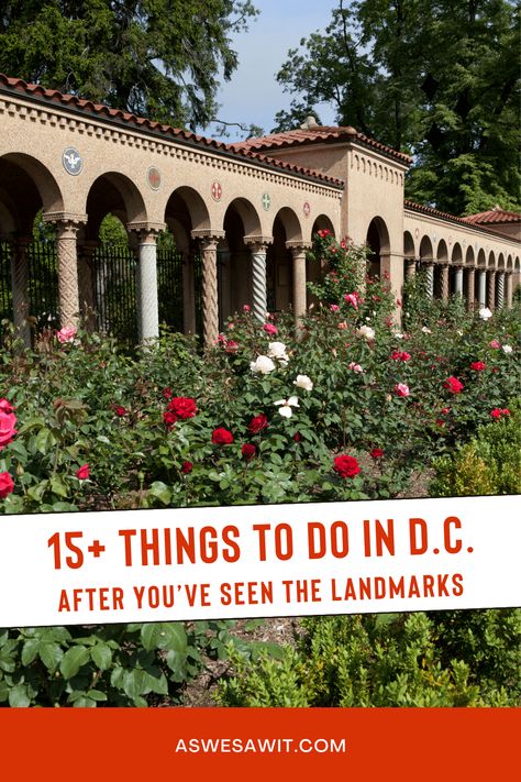 Skip the landmarks and discover the unique things to do in DC! This guide reveals vibrant neighborhoods, delicious cultural eats, and local gems. Plan your non-touristy adventure with insider tips and explore DC like a local! Things To Do In Dc, Things To Do In Washington, Travel Secrets, Hoover Dam, Ghost Tour, Mackinac Island, Budget Travel Tips, Travel Wanderlust, River Cruises