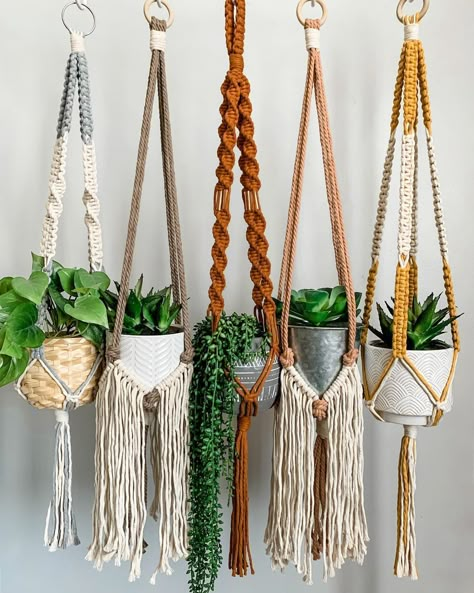 Macrame Plant Hanger Colorful, Colored Macrame Plant Hanger, Colorful Macrame Plant Hanger, Hanger Plant Macrame, Two Color Macrame Plant Hanger, Macrame For Plants, Hanging Plants Macrame, Macrame Plant Holder Diy, Macrame Hanging Plants