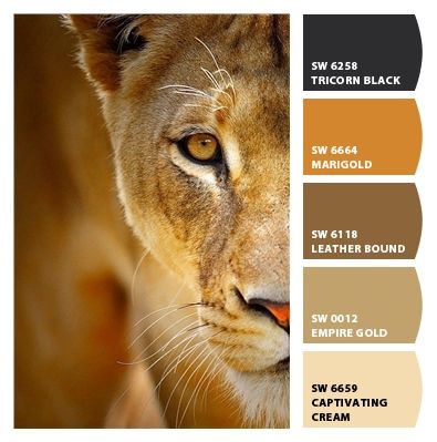 Lioness from Chip It! by Sherwin-Williams Lion Colour Palette, Lion Color Palette, Safari Colour Palette, Safari Bedroom, Mixing Paint Colors, Photography Business Branding, Yarn Color Combinations, African Colors, Pantone Colour Palettes