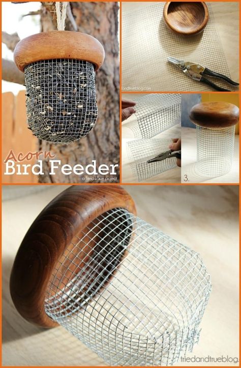 Homemade Bird Feeders, Diy Bird Feeder, Diy Birds, Bird Houses Diy, How To Attract Birds, Garden Care, Backyard Birds, Bird Feeder, Garden Crafts